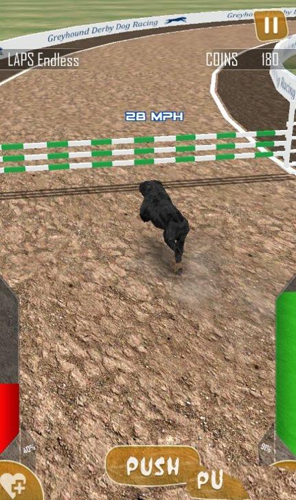 狗狗赛跑3D v1.7