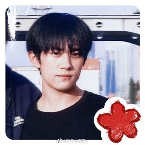 易烊千玺送你一朵小红花表情包 v1.0