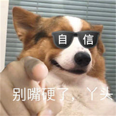 指人专用表情包.jpg 指人专用表情包.jpg