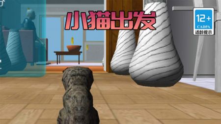 极速流浪猫