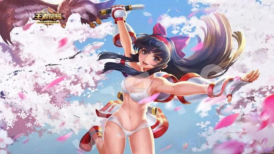 女英雄全彩无水印王者图片 v1.0