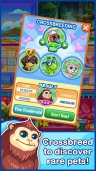 开发宠物酒店 v3.1.5