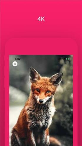JoPaper动态壁纸 v1.0