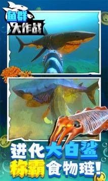 鱼群大作战  v1.0.1