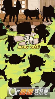 Cat Evolution World