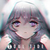 灵魂潮汐wiki版