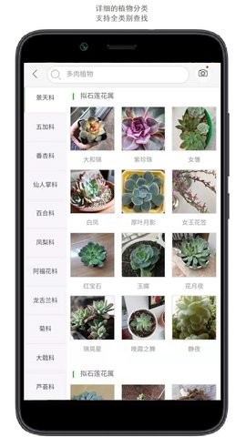 行色识花  v2.1.18