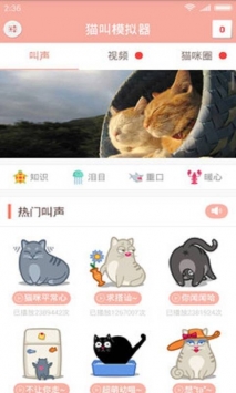 猫叫仿生器 v2.0.5