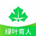 绿叶育人平台