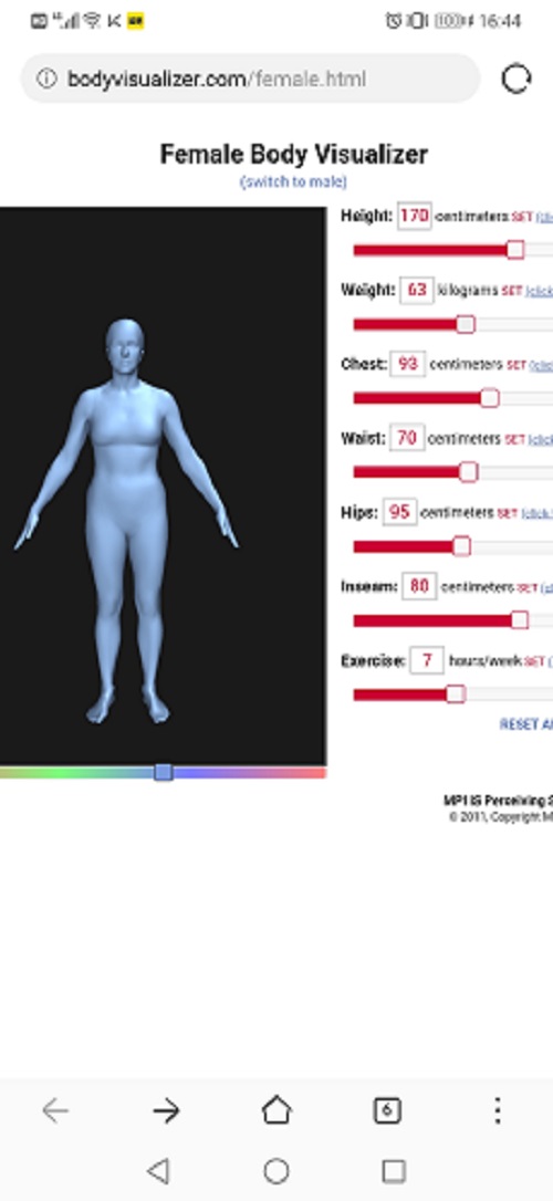 bodyvisualizer游戏官方中文版图片1