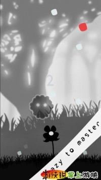 幽灵花 Phantom Flower