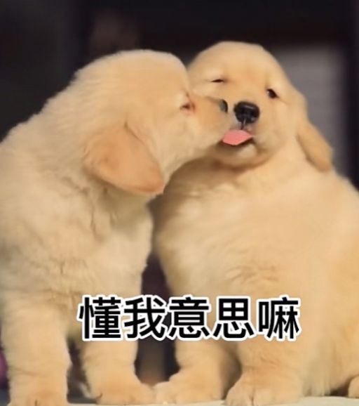 出来约会呀我馋你了表情包图片.jpg 出来约会呀我馋你了表情包图片.jpg