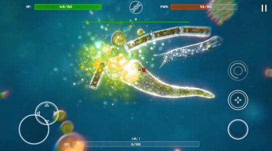 生物孢子的开始  v40.26