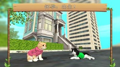 猫咪模拟 v3.1.5