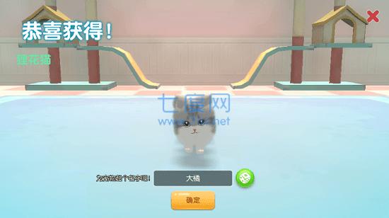 养了个猫樱花小镇国际版