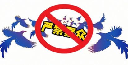 七夕取消的紧急通知图片 v1.0