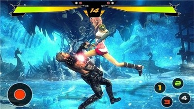 终极功夫决斗  v1.3