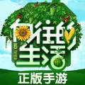 向往的生活悠长时光游戏官方正版 