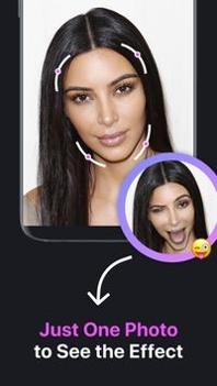 Anyface v3.0.5