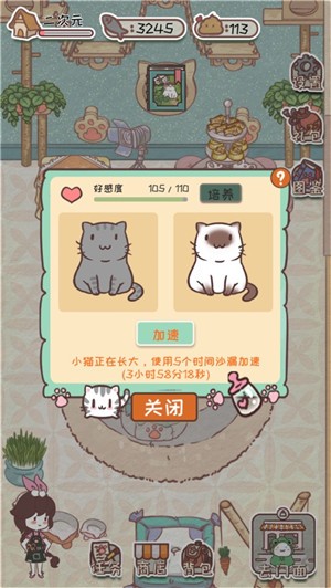猫舍服装店 V 1.0