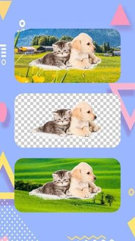 1663297543447473.jpg 1663297543447473.jpg