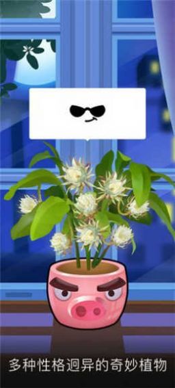 我有个花园游戏红包版  v5.3.4