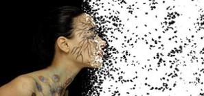 像素效果照片编辑器 像素效果照片编辑器