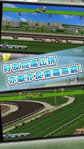 马场之王