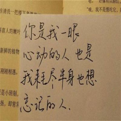 20211202完全对称日图片 v3.0.5