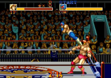 摔跤霸王2安卓版 v1.0.1