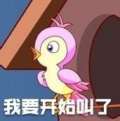 七夕布谷鸟表情包 v1.0.0