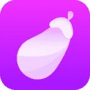 茄子视频最新版2024