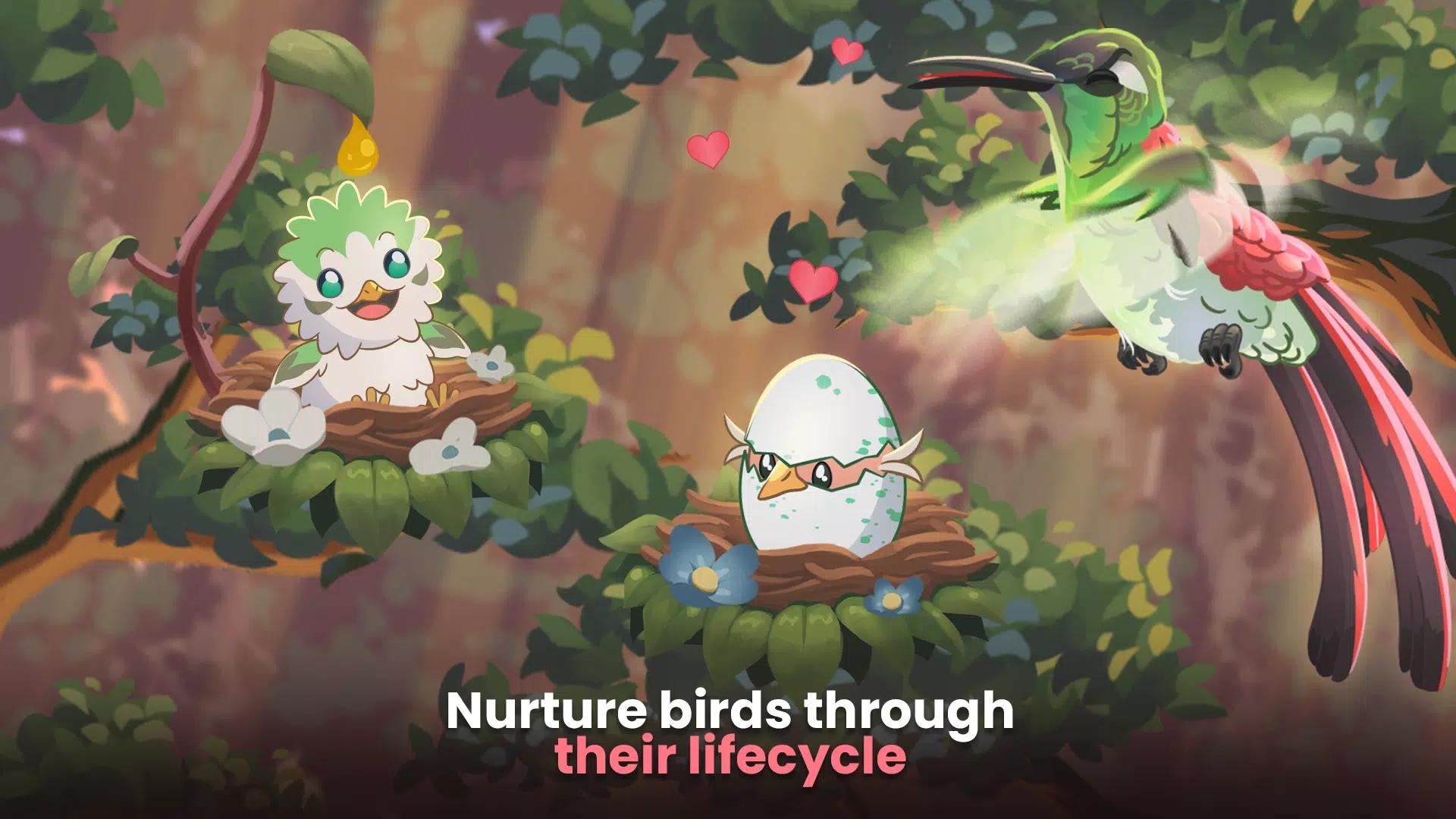 鸟类世界国际服 v0.58