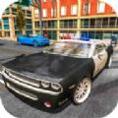 警车特技司机3D