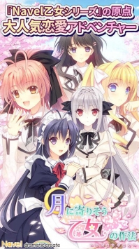 近月少女的礼仪截图0