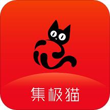集极猫