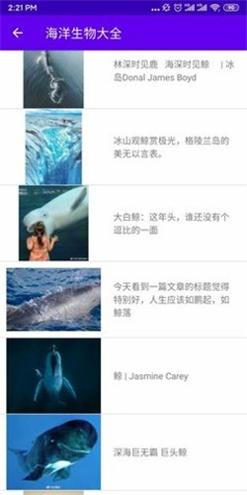 海洋生物大全 v1.0