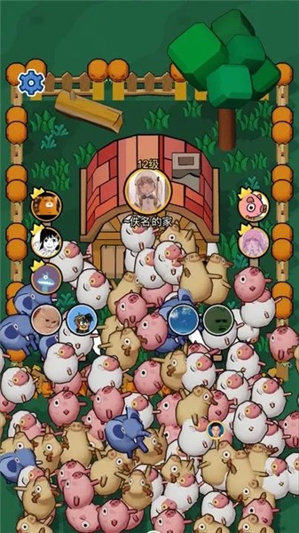 拱呀拱 2023-07-18 09:33