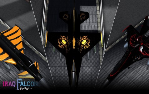 伊拉克猎鹰 2024-06-25 15:08