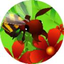 蜜蜂进化3D
