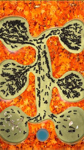 蚂蚁农场  v1.6.9