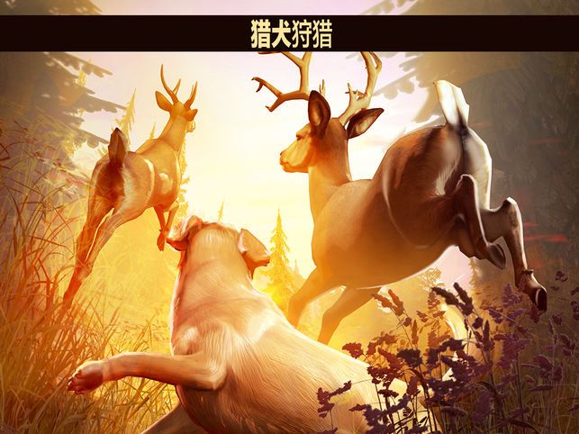 猎鹿人2018 v3.1.5