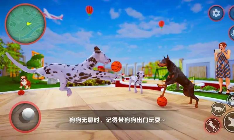 狗狗家庭陪伴 v0.3
