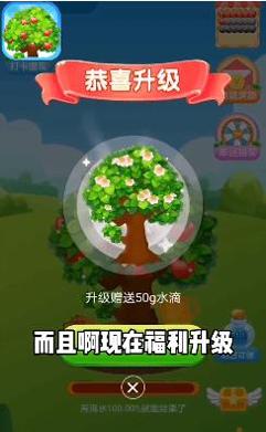 快乐果园 v1.0.4
