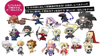 CAPSULESERVANT v4.0.5