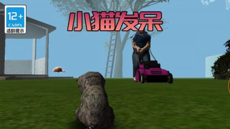 极速流浪猫