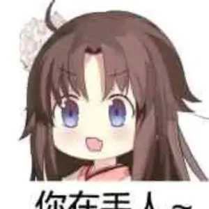 抖音梗姐姐本子表情包 v1.0