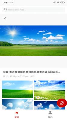 白鸽壁纸 v173664.2834.948
