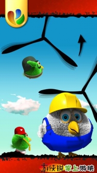小鸟对决 Bird Duel v4.0.5
