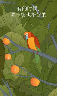 孤独的鸟儿2023中文版  v2.9